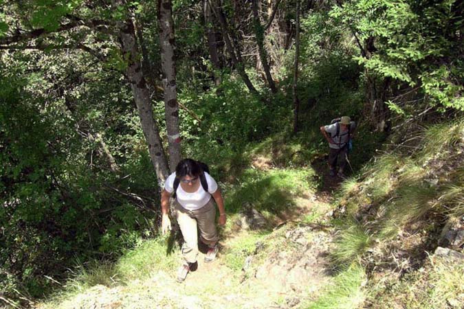 20-on monte