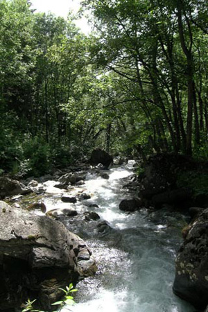 28-cascade