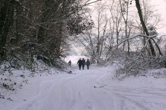 2010-01-31-G1-01